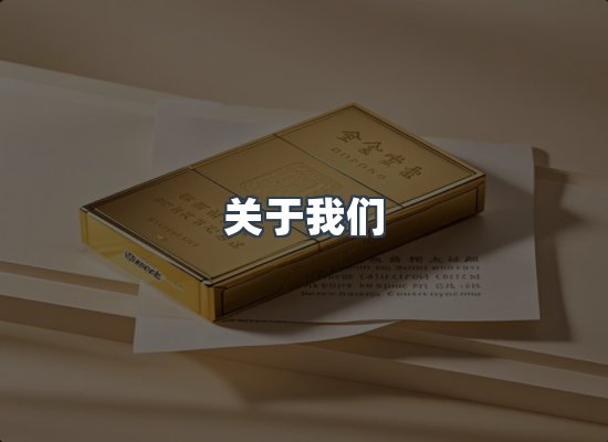 关于我们